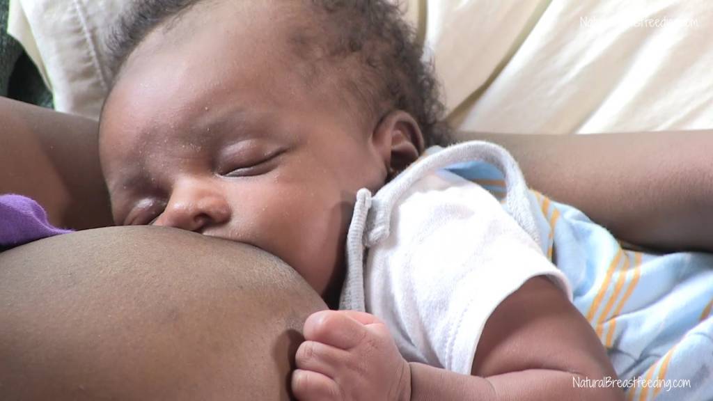 Care of Small Babies: Breastfeeding Your Small Baby – Healthy Newborn  Network