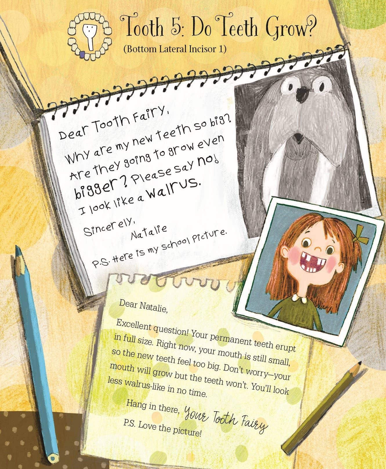 Letters from My Tooth Fairy - New Baby New Paltz