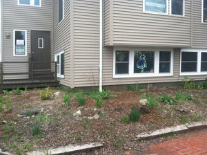 New Baby New Paltz Grand Opening Preparations 2011