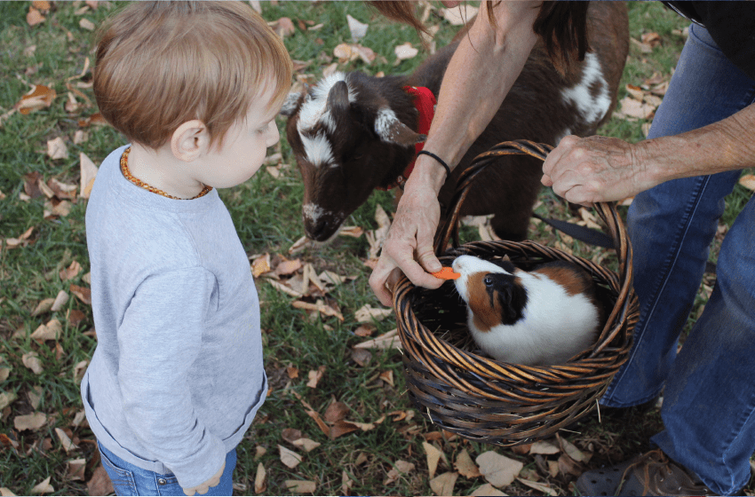 Unadulterated Innocence - New Baby New Paltz