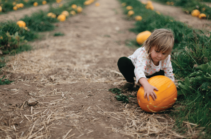 Understanding Temper Tantrums - New Baby New Paltz