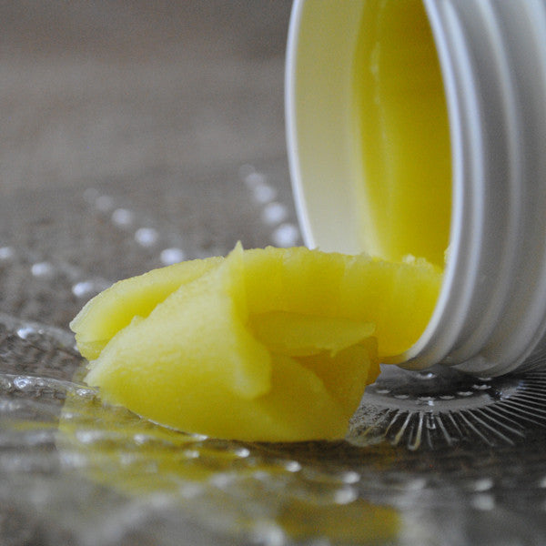 Salve - New Baby New Paltz