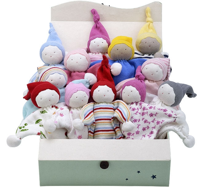 Sustainable - New Baby New Paltz