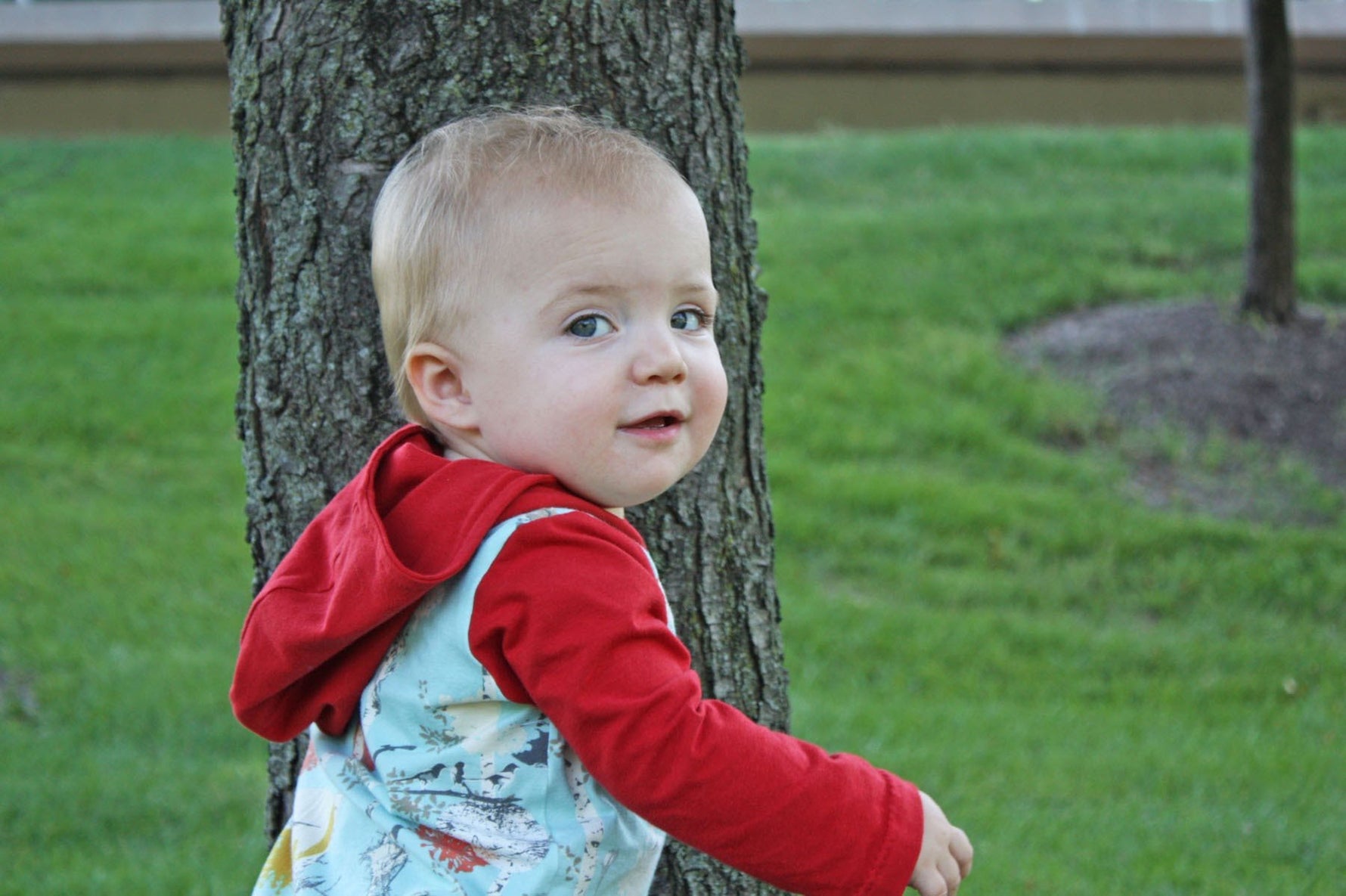 Tiny Hedgehog Autumn Walk Hoodie - New Baby New Paltz