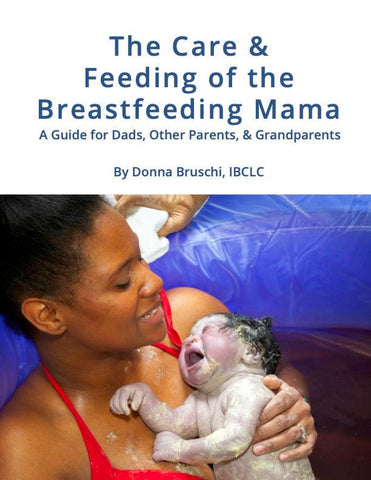 The Care and Feeding of the Breastfeeding Mama by Donna Bruschi, IBCLC