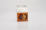 Natursutten Butterfly Orthodontic Pacifier | Medium - 6 to 12 months - New Baby New Paltz